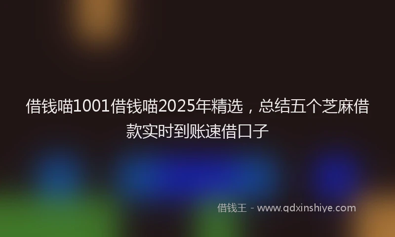 借钱喵1001借钱喵2025年精选，总结五个芝麻借款实时到账速借口子