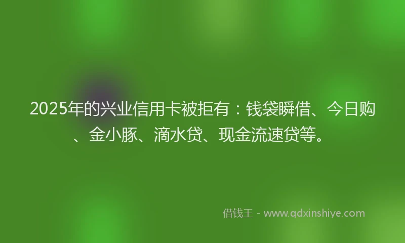 2025年的兴业信用卡被拒有：钱袋瞬借、今日购、金小豚、滴水贷、现金流速贷等。