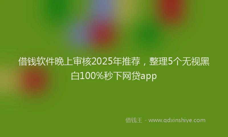 借钱软件晚上审核2025年推荐，整理5个无视黑白100%秒下网贷app