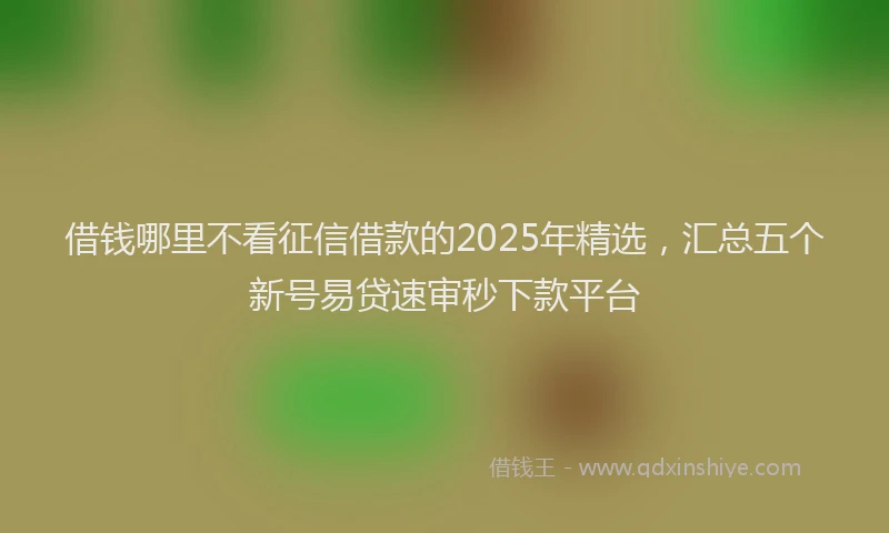 借钱哪里不看征信借款的2025年精选，汇总五个新号易贷速审秒下款平台