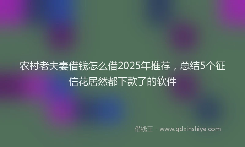农村老夫妻借钱怎么借2025年推荐，总结5个征信花居然都下款了的软件