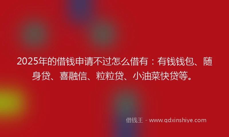 2025年的借钱申请不过怎么借有：有钱钱包、随身贷、喜融信、粒粒贷、小油菜快贷等。