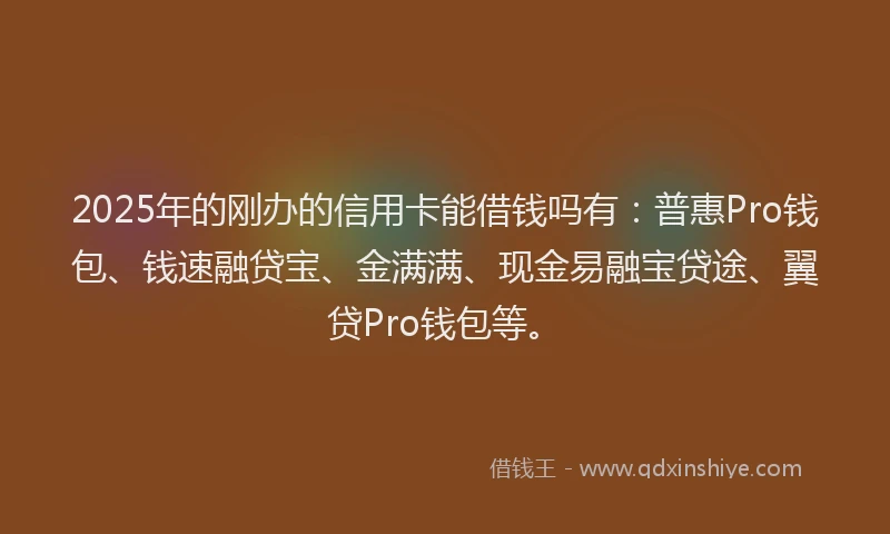 2025年的刚办的信用卡能借钱吗有：普惠Pro钱包、钱速融贷宝、金满满、现金易融宝贷途、翼贷Pro钱包等。