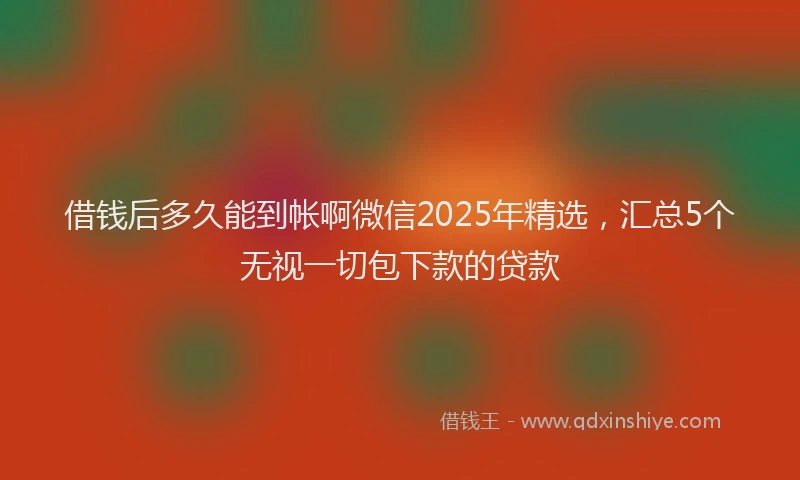 借钱后多久能到帐啊微信2025年精选，汇总5个无视一切包下款的贷款