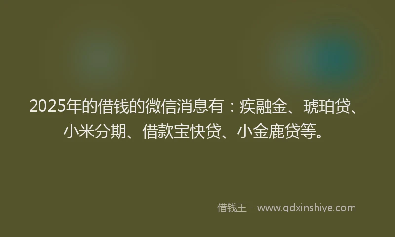 2025年的借钱的微信消息有：疾融金、琥珀贷、小米分期、借款宝快贷、小金鹿贷等。
