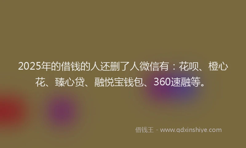 2025年的借钱的人还删了人微信有：花呗、橙心花、臻心贷、融悦宝钱包、360速融等。