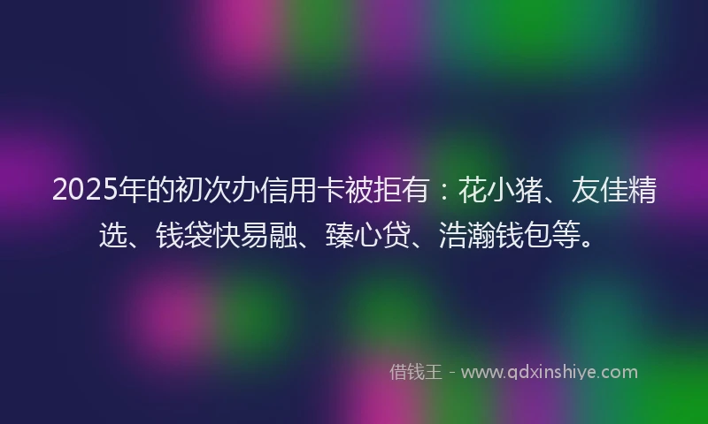 2025年的初次办信用卡被拒有：花小猪、友佳精选、钱袋快易融、臻心贷、浩瀚钱包等。