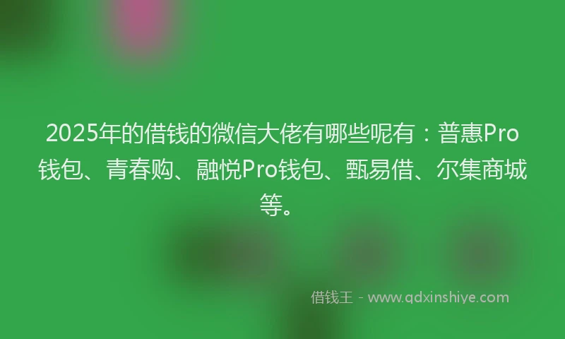 2025年的借钱的微信大佬有哪些呢有：普惠Pro钱包、青春购、融悦Pro钱包、甄易借、尔集商城等。