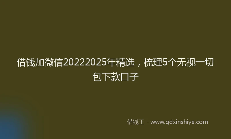 借钱加微信20222025年精选，梳理5个无视一切包下款口子