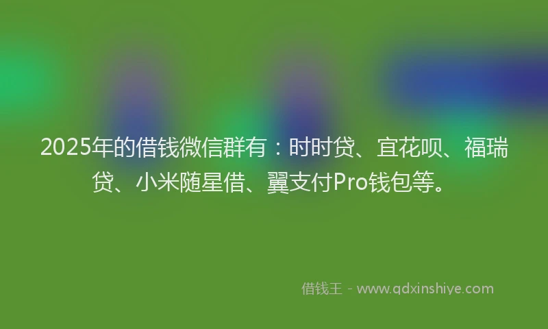2025年的借钱微信群有：时时贷、宜花呗、福瑞贷、小米随星借、翼支付Pro钱包等。
