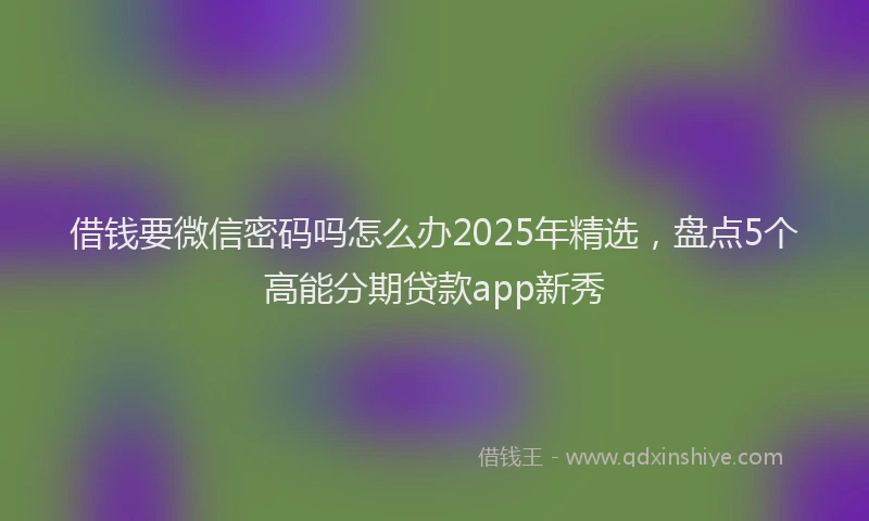 借钱要微信密码吗怎么办2025年精选，盘点5个高能分期贷款app新秀