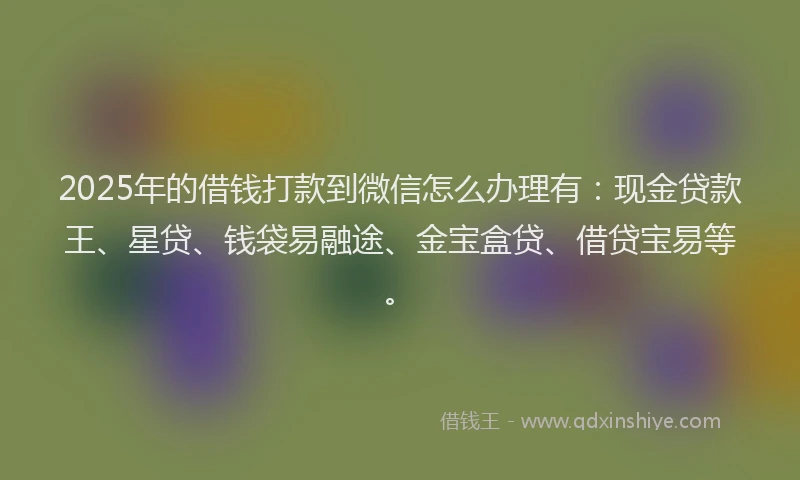 2025年的借钱打款到微信怎么办理有：现金贷款王、星贷、钱袋易融途、金宝盒贷、借贷宝易等。