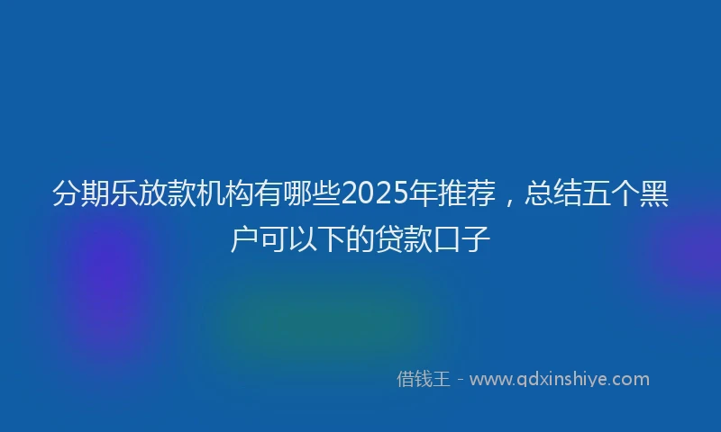 分期乐放款机构有哪些2025年推荐，总结五个黑户可以下的贷款口子