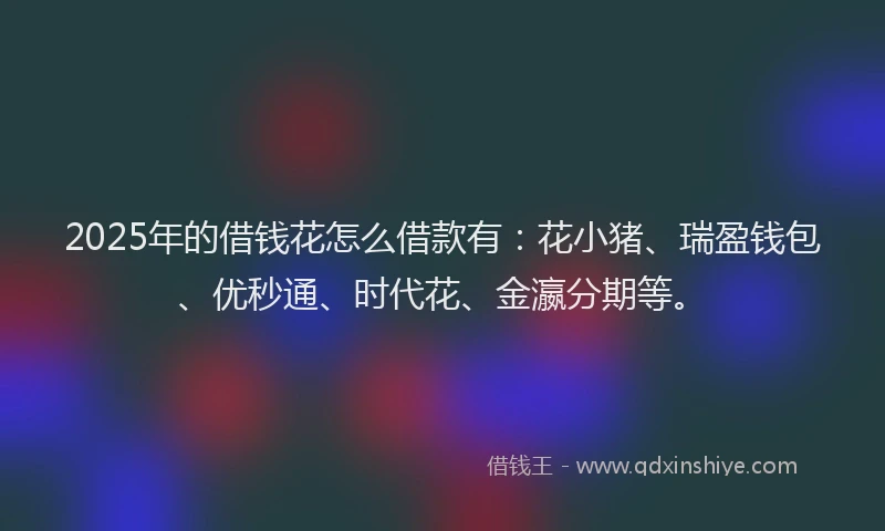 2025年的借钱花怎么借款有：花小猪、瑞盈钱包、优秒通、时代花、金瀛分期等。