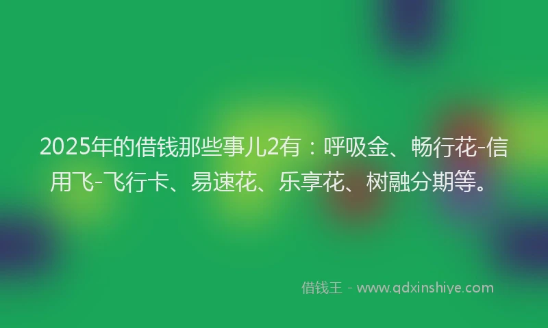 2025年的借钱那些事儿2有：呼吸金、畅行花-信用飞-飞行卡、易速花、乐享花、树融分期等。