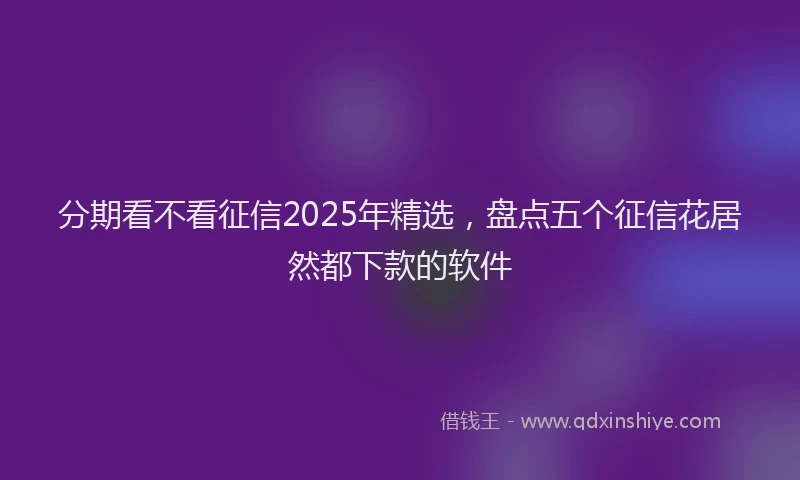 分期看不看征信2025年精选，盘点五个征信花居然都下款的软件