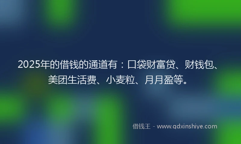 2025年的借钱的通道有：口袋财富贷、财钱包、美团生活费、小麦粒、月月盈等。