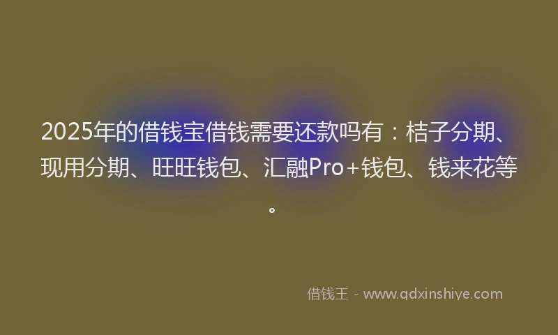 2025年的借钱宝借钱需要还款吗有：桔子分期、现用分期、旺旺钱包、汇融Pro+钱包、钱来花等。