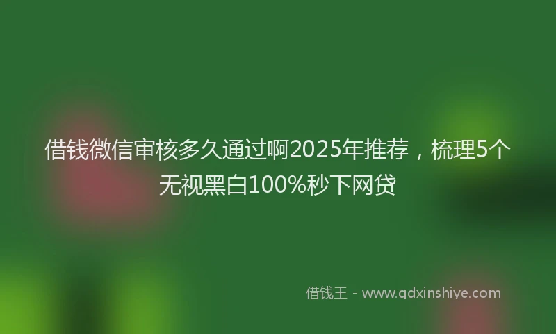 借钱微信审核多久通过啊2025年推荐，梳理5个无视黑白100%秒下网贷