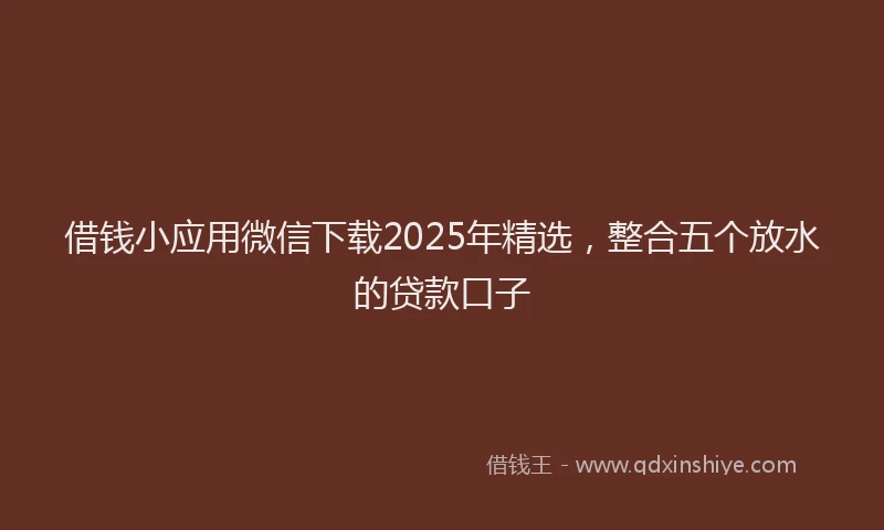 借钱小应用微信下载2025年精选，整合五个放水的贷款口子