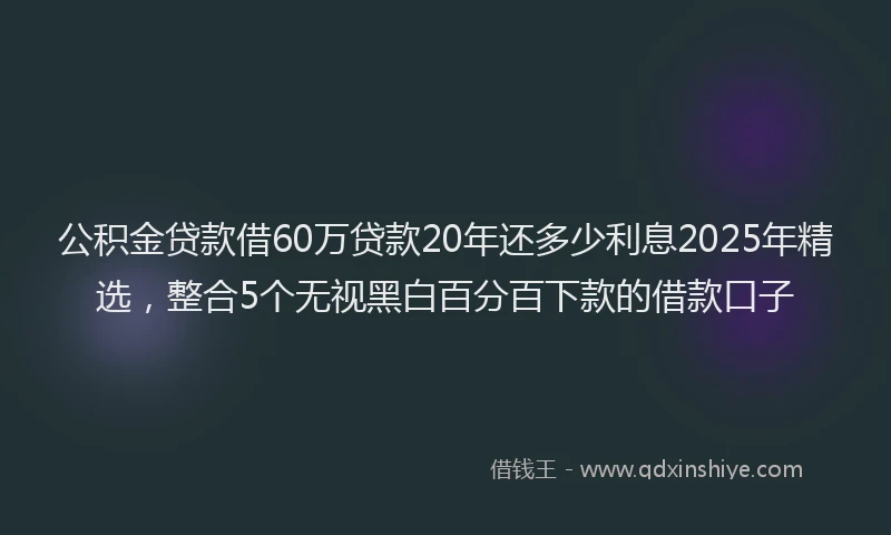 公积金贷款借60万贷款20年还多少利息2025年精选，整合5个无视黑白百分百下款的借款口子