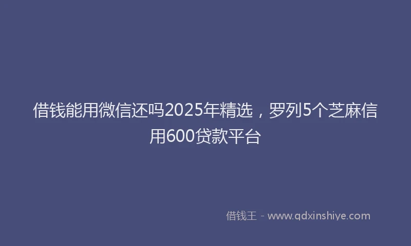 借钱能用微信还吗2025年精选，罗列5个芝麻信用600贷款平台