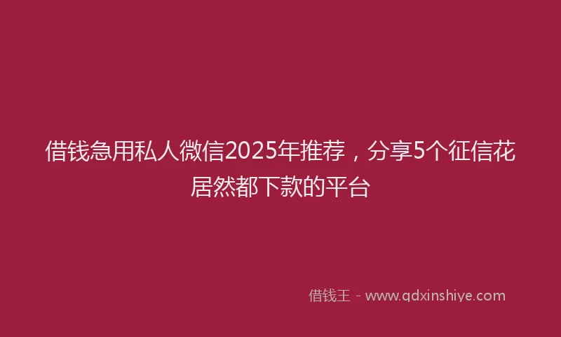 借钱急用私人微信2025年推荐，分享5个征信花居然都下款的平台