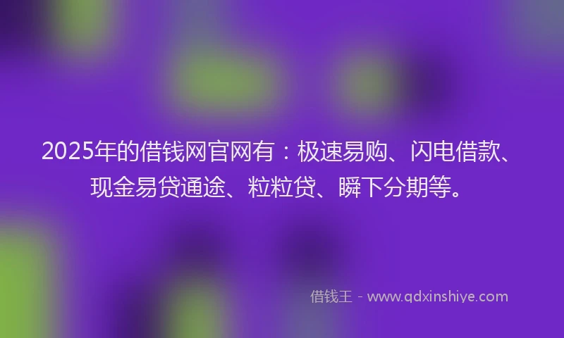 2025年的借钱网官网有：极速易购、闪电借款、现金易贷通途、粒粒贷、瞬下分期等。