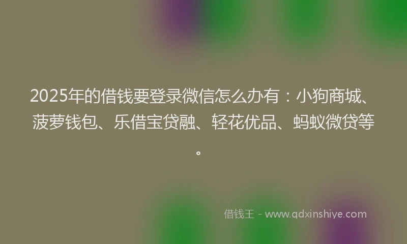 2025年的借钱要登录微信怎么办有：小狗商城、菠萝钱包、乐借宝贷融、轻花优品、蚂蚁微贷等。