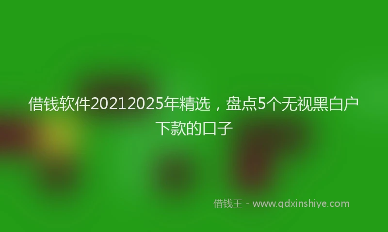 借钱软件20212025年精选，盘点5个无视黑白户下款的口子