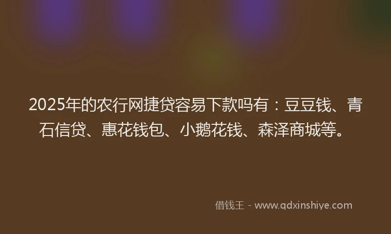 2025年的农行网捷贷容易下款吗有：豆豆钱、青石信贷、惠花钱包、小鹅花钱、森泽商城等。