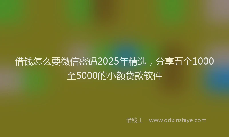 借钱怎么要微信密码2025年精选，分享五个1000至5000的小额贷款软件
