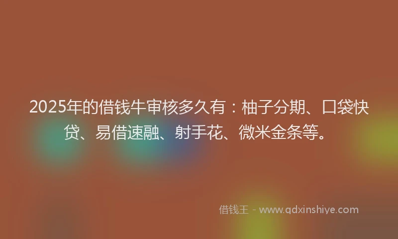 2025年的借钱牛审核多久有：柚子分期、口袋快贷、易借速融、射手花、微米金条等。