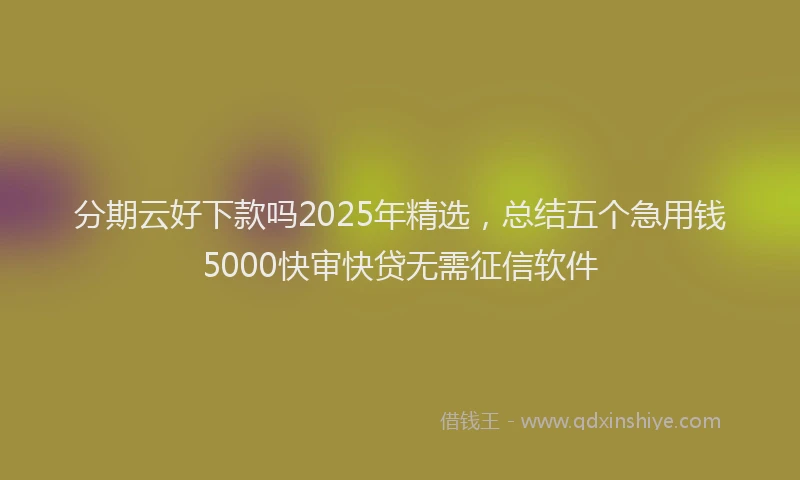分期云好下款吗2025年精选，总结五个急用钱5000快审快贷无需征信软件