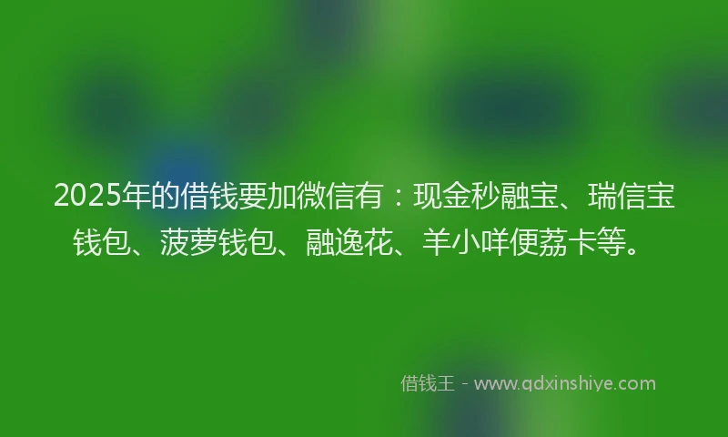 2025年的借钱要加微信有：现金秒融宝、瑞信宝钱包、菠萝钱包、融逸花、羊小咩便荔卡等。