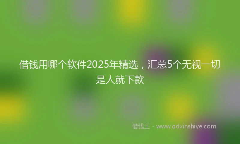 借钱用哪个软件2025年精选，汇总5个无视一切是人就下款