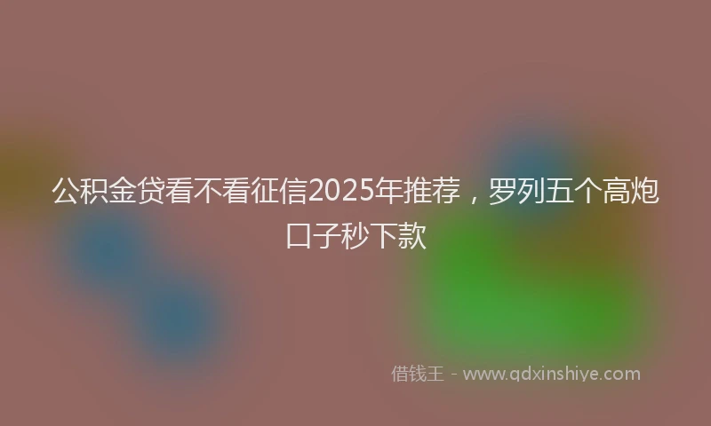 公积金贷看不看征信2025年推荐，罗列五个高炮口子秒下款