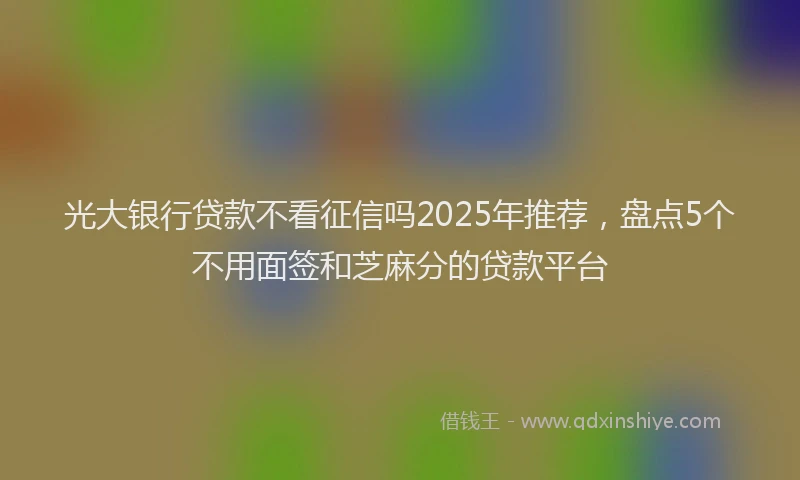 光大银行贷款不看征信吗2025年推荐，盘点5个不用面签和芝麻分的贷款平台