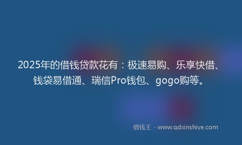 2025年的借钱贷款花有：极速易购、乐享快借、钱袋易借通、瑞信Pro钱包、gogo购等。