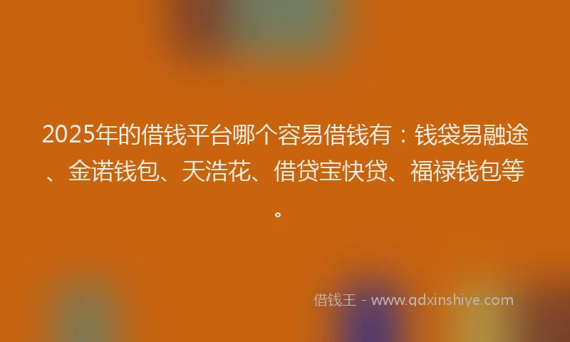 2025年的借钱平台哪个容易借钱有：钱袋易融途、金诺钱包、天浩花、借贷宝快贷、福禄钱包等。