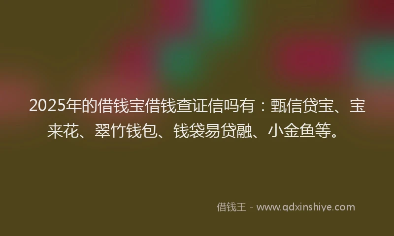 2025年的借钱宝借钱查证信吗有：甄信贷宝、宝来花、翠竹钱包、钱袋易贷融、小金鱼等。