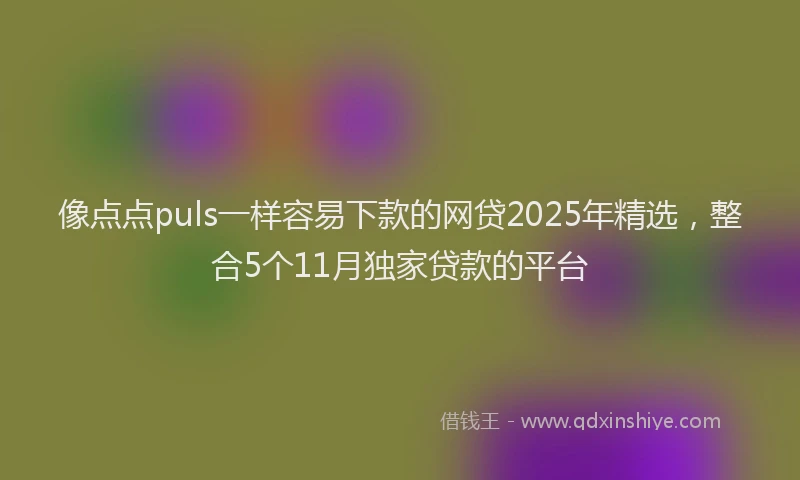 像点点puls一样容易下款的网贷2025年精选，整合5个11月独家贷款的平台