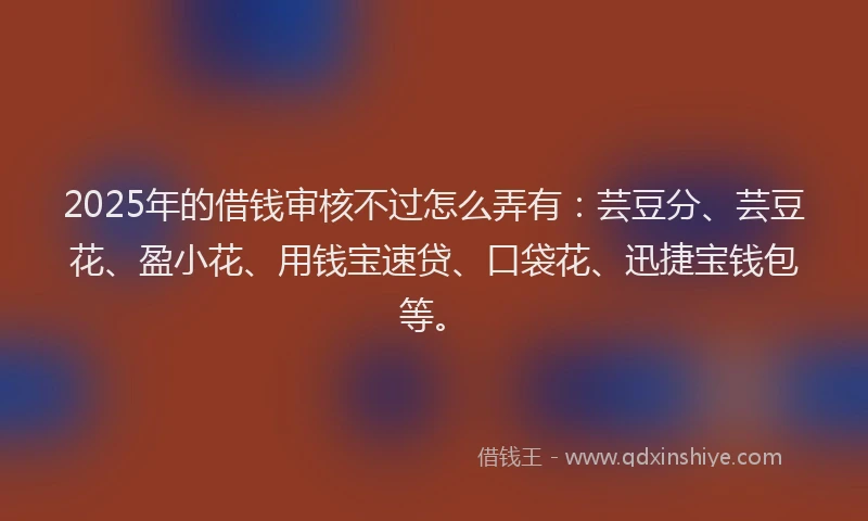 2025年的借钱审核不过怎么弄有：芸豆分、芸豆花、盈小花、用钱宝速贷、口袋花、迅捷宝钱包等。