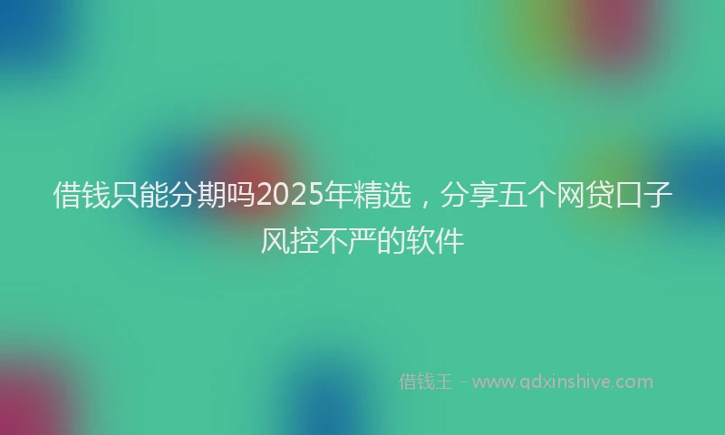 借钱只能分期吗2025年精选，分享五个网贷口子风控不严的软件