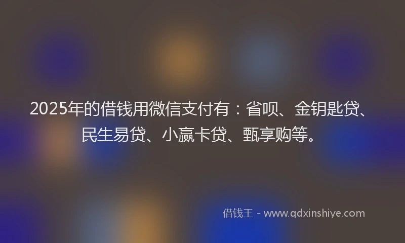 2025年的借钱用微信支付有：省呗、金钥匙贷、民生易贷、小赢卡贷、甄享购等。