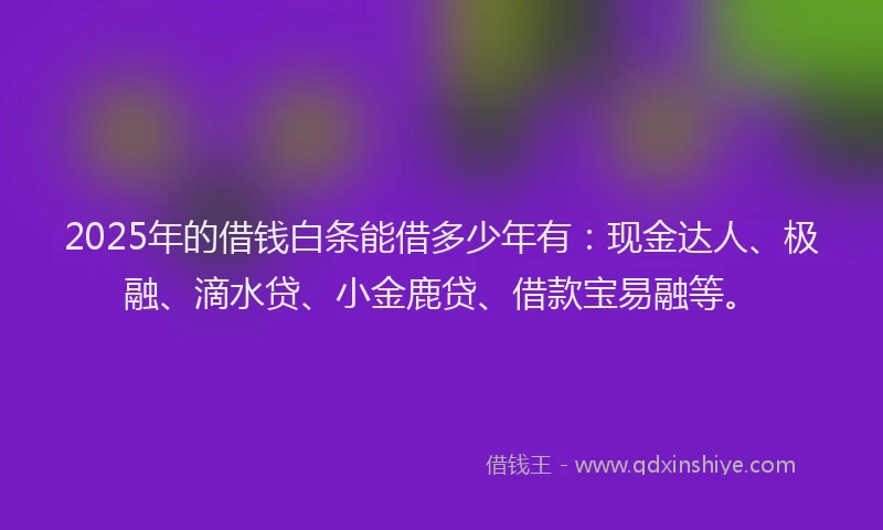 2025年的借钱白条能借多少年有：现金达人、极融、滴水贷、小金鹿贷、借款宝易融等。