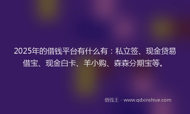 2025年的借钱平台有什么有：私立签、现金贷易借宝、现金白卡、羊小购、森森分期宝等。