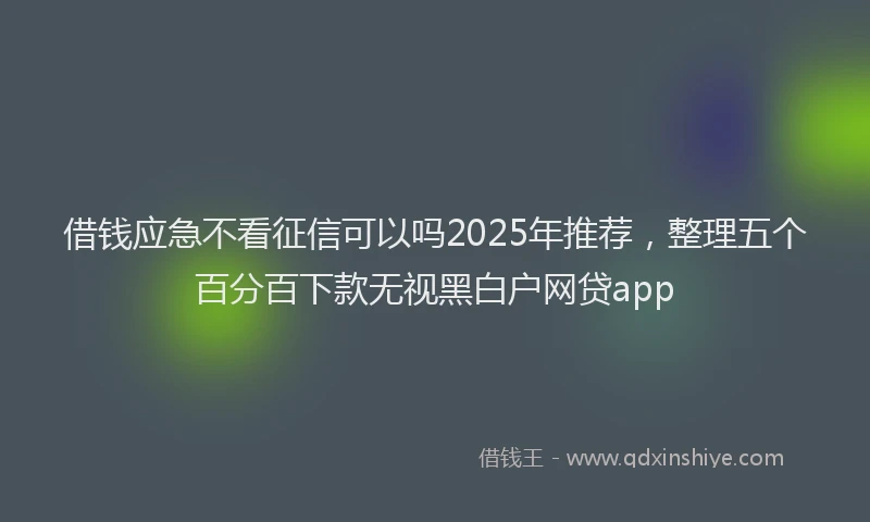 借钱应急不看征信可以吗2025年推荐，整理五个百分百下款无视黑白户网贷app