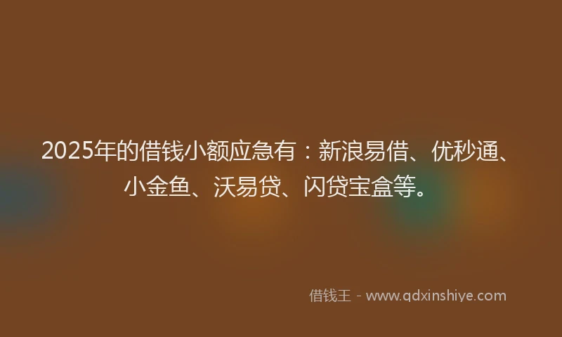 2025年的借钱小额应急有：新浪易借、优秒通、小金鱼、沃易贷、闪贷宝盒等。