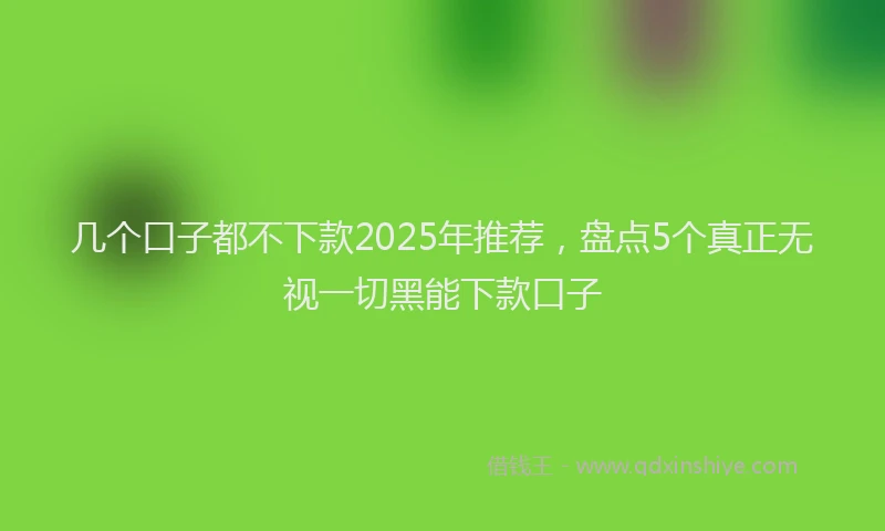 几个口子都不下款2025年推荐，盘点5个真正无视一切黑能下款口子